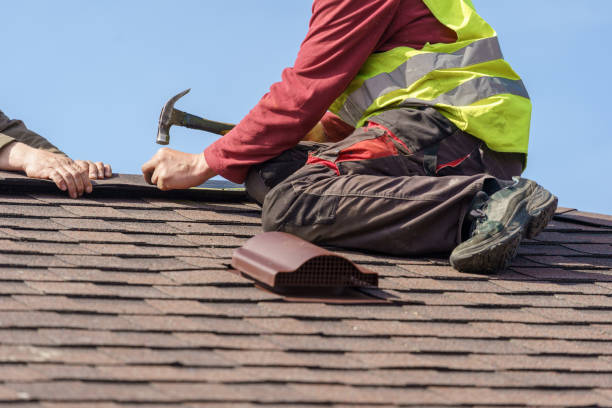 Best Storm Damage Roof Repair  in Palm Coast, FL